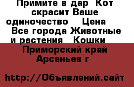 Примите в дар. Кот скрасит Ваше одиночество. › Цена ­ 0 - Все города Животные и растения » Кошки   . Приморский край,Арсеньев г.